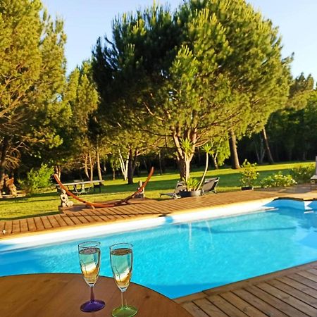 Bed and Breakfast Les Pins Perdus Saint-Ciers-d'Abzac Esterno foto
