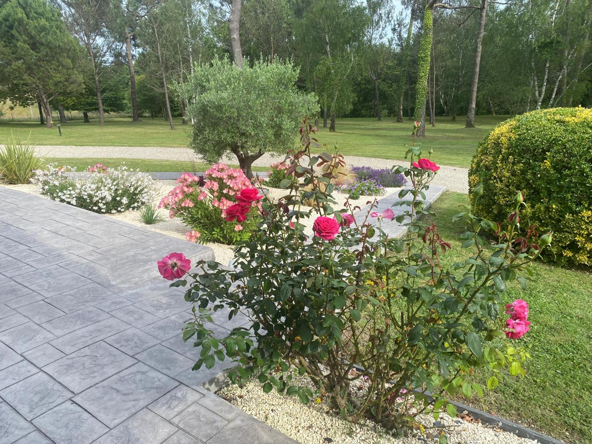 Bed and Breakfast Les Pins Perdus Saint-Ciers-d'Abzac Esterno foto