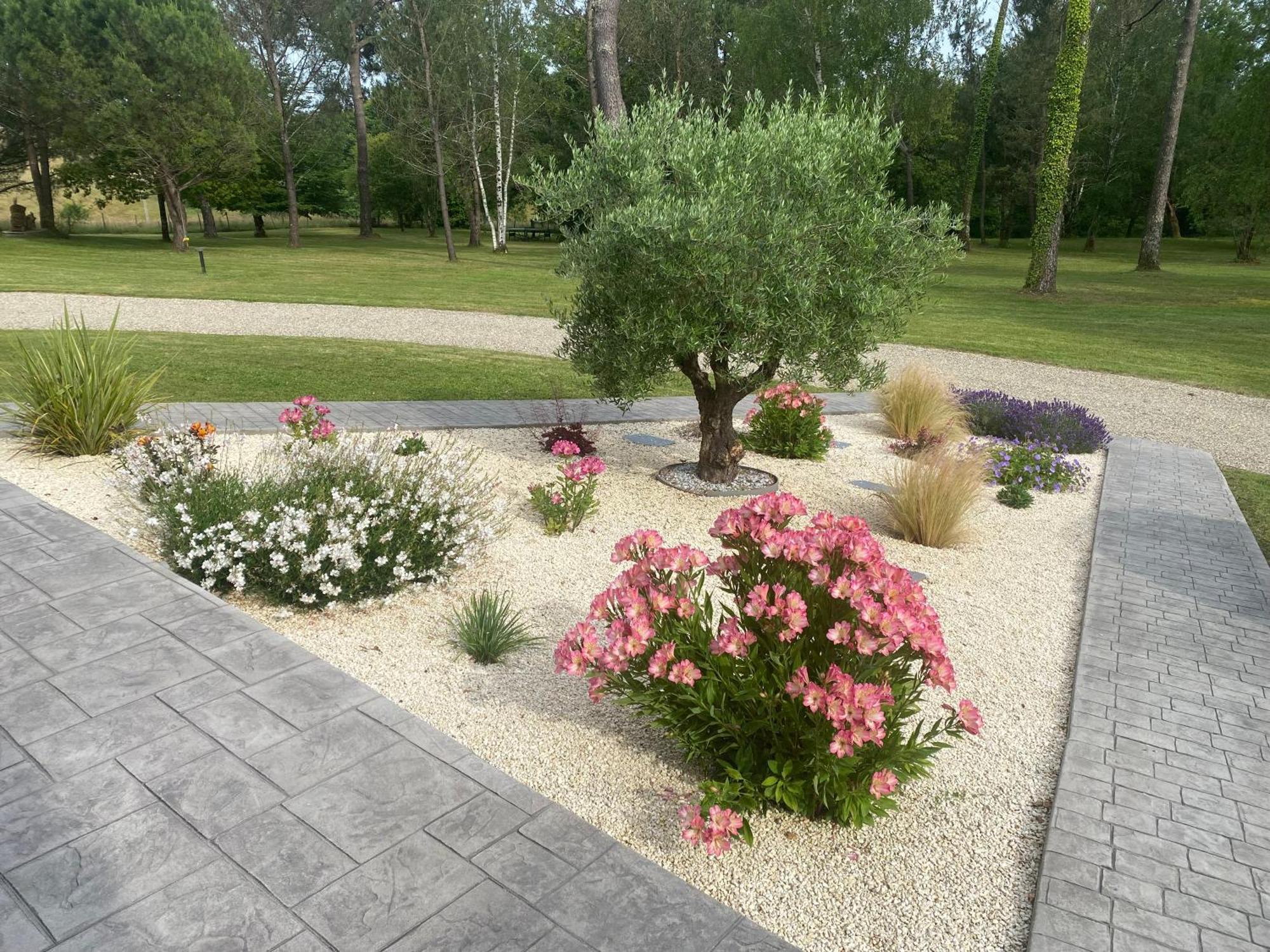 Bed and Breakfast Les Pins Perdus Saint-Ciers-d'Abzac Esterno foto