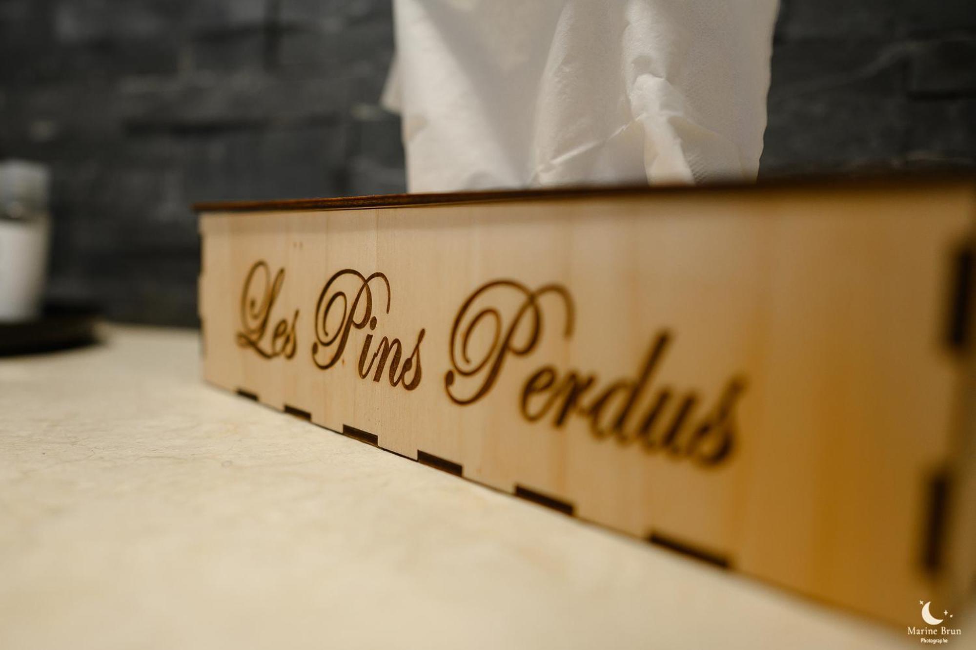 Bed and Breakfast Les Pins Perdus Saint-Ciers-d'Abzac Esterno foto
