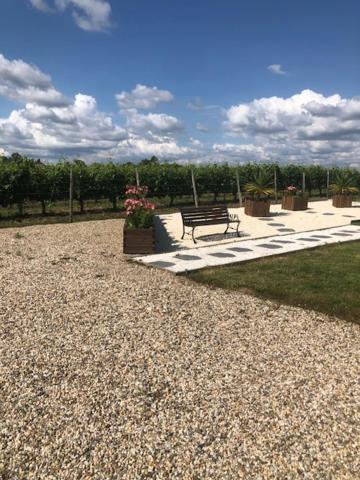 Bed and Breakfast Les Pins Perdus Saint-Ciers-d'Abzac Esterno foto