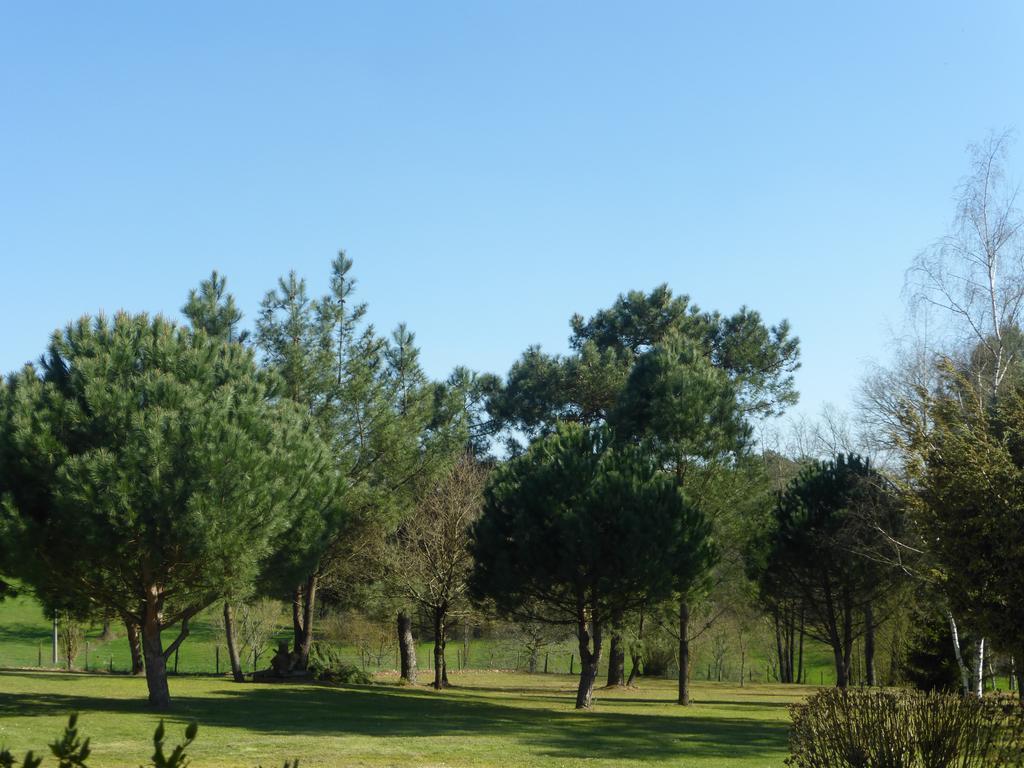 Bed and Breakfast Les Pins Perdus Saint-Ciers-d'Abzac Esterno foto