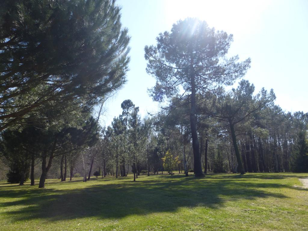 Bed and Breakfast Les Pins Perdus Saint-Ciers-d'Abzac Esterno foto