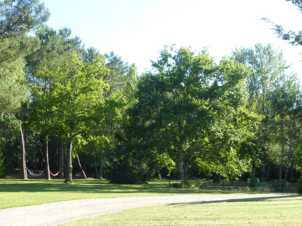 Bed and Breakfast Les Pins Perdus Saint-Ciers-d'Abzac Esterno foto