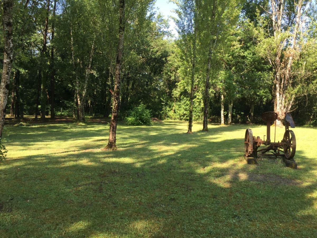 Bed and Breakfast Les Pins Perdus Saint-Ciers-d'Abzac Esterno foto